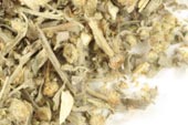 Wormwood (Artemisia absinthium)