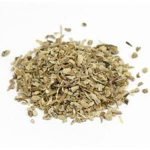 Echinacea