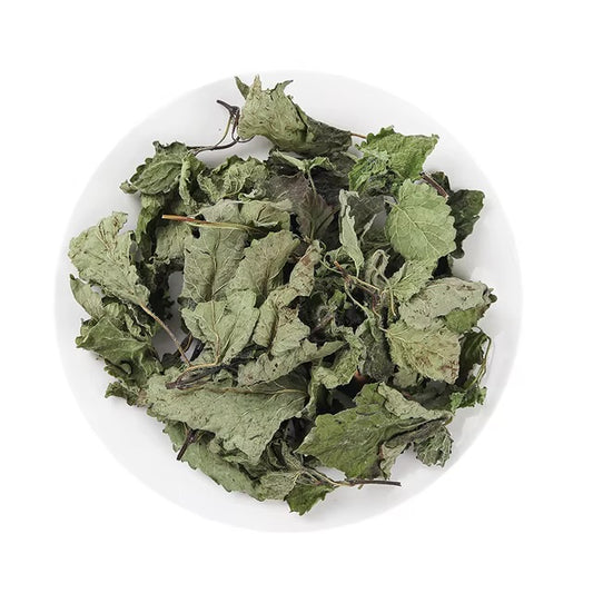 Lemon Balm
