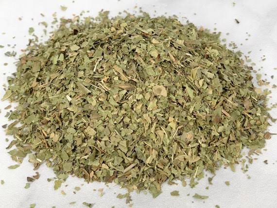 Lemon Verbena (Aloysia citrodora)